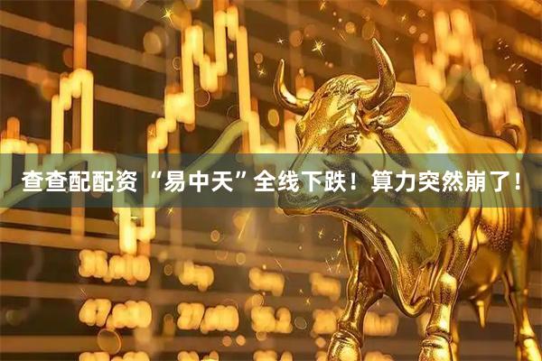 查查配配资 “易中天”全线下跌！算力突然崩了！